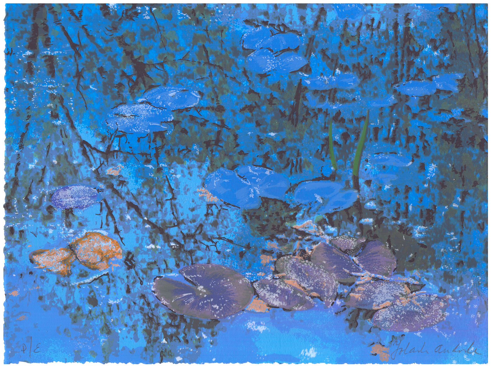 Yolanda Andrade – Jardin de Monet